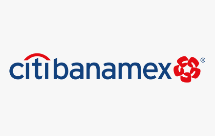 PROYECTO CITIBANAMEX